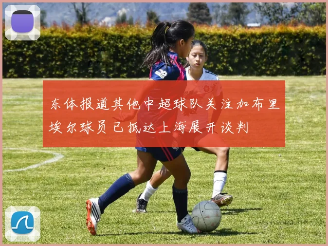 东体报道其他中超球队关注加布里埃尔球员已抵达上海展开谈判