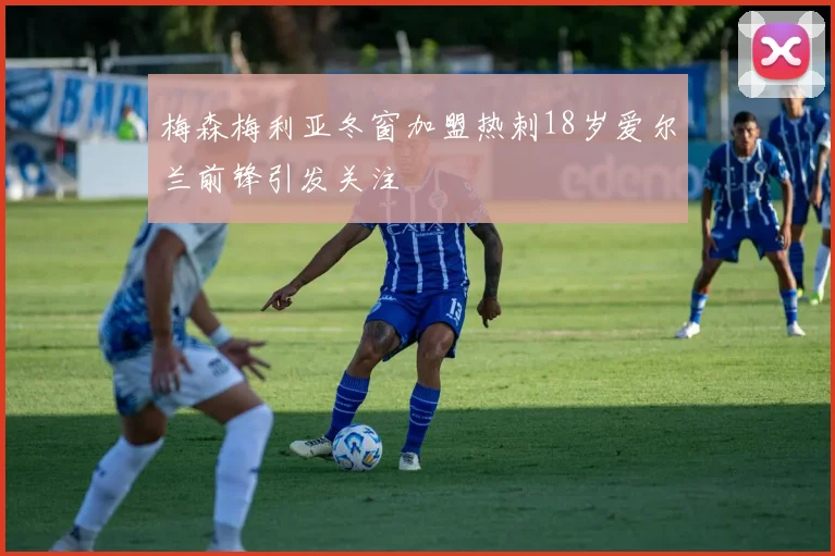 梅森梅利亚冬窗加盟热刺18岁爱尔兰前锋引发关注
