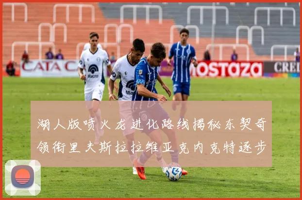 湖人版喷火龙进化路线揭秘东契奇领衔里夫斯拉拉维亚克内克特逐步崛起