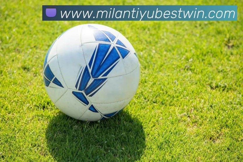 App Interface Preview